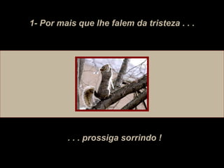 1- Por mais que lhe falem da tristeza . . . . . . prossiga sorrindo ! 