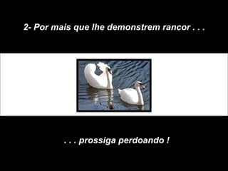 2- Por mais que lhe demonstrem rancor . . . . . . prossiga perdoando ! 