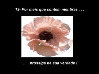 13- Por mais que contem mentiras . . . . . . prossiga na sua verdade ! 