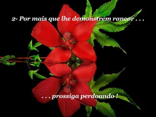2- Por mais que lhe demonstrem rancor . . . . . . prossiga perdoando ! 