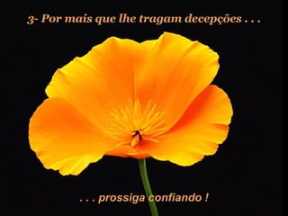 3- Por mais que lhe tragam decepções . . . . . . prossiga confiando ! 
