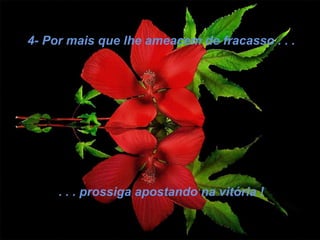 4- Por mais que lhe ameacem de fracasso . . . . . . prossiga apostando na vitória ! 