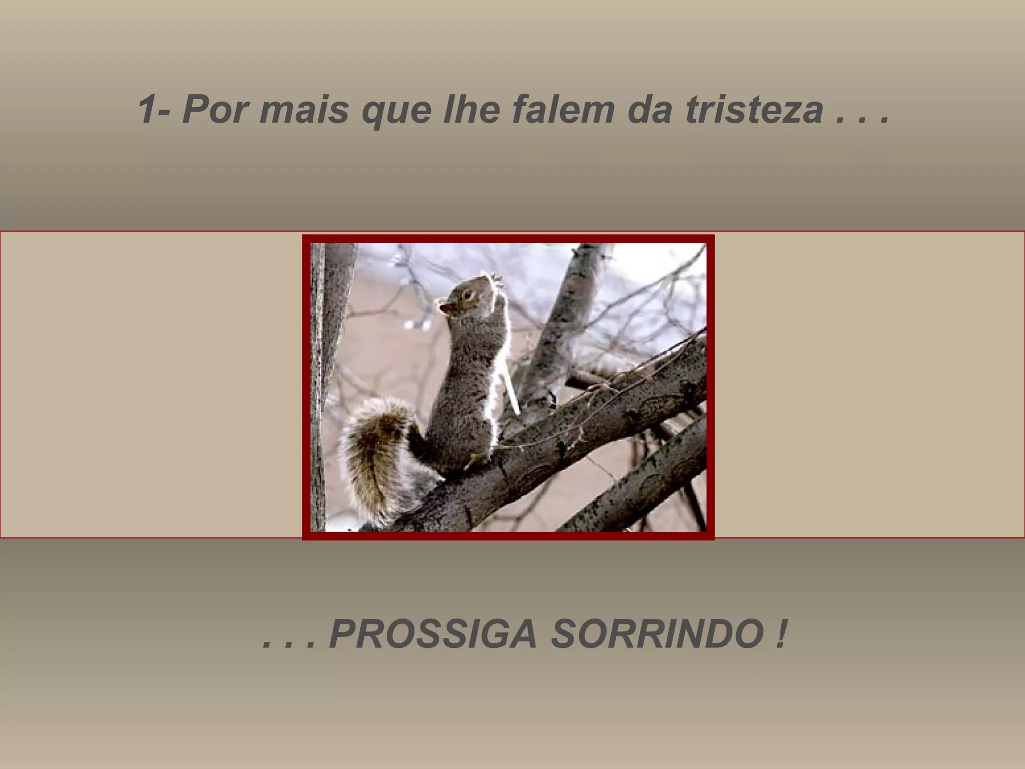 1- Por mais que lhe falem da tristeza . . . . . . PROSSIGA SORRINDO ! 