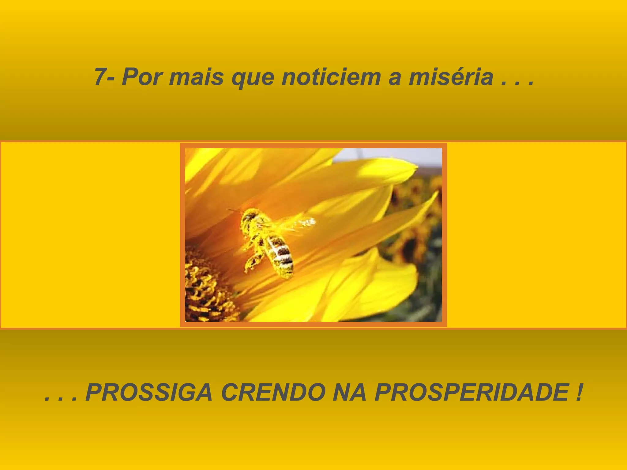 7- Por mais que noticiem a miséria . . . . . . PROSSIGA CRENDO NA PROSPERIDADE ! 