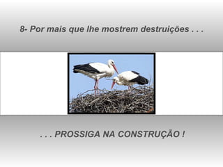 8- Por mais que lhe mostrem destruições . . . . . . PROSSIGA NA CONSTRUÇÃO ! 