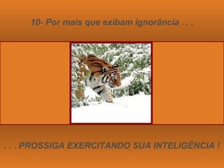 10- Por mais que exibam ignorância . . . . . . PROSSIGA EXERCITANDO SUA INTELIGÊNCIA ! 