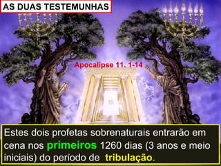AS DUAS TESTEMUNHAS




               Apocalipse 11. 1-14




Estes dois profetas sobrenaturais entrarão em
cena nos primeiros 1260 dias (3 anos e meio
iniciais) do período de tribulação.
 