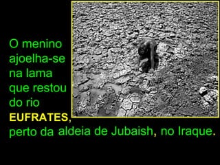O menino
ajoelha-se
na lama
que restou
do rio
EUFRATES,
perto da aldeia de Jubaish, no Iraque.
 