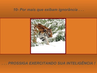 10- Por mais que exibam ignorância . . . . . . PROSSIGA EXERCITANDO SUA INTELIGÊNCIA ! 