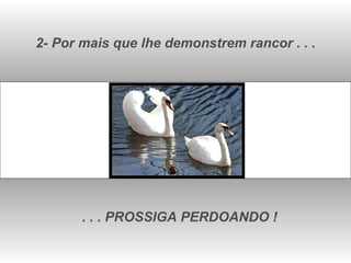 2- Por mais que lhe demonstrem rancor . . . . . . PROSSIGA PERDOANDO ! 