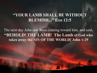 “YOUR LAMB SHALL BE WITHOUT
           BLEMISH...” Exo 12:5

The next day John saw Jesus coming toward him, and said,
“BEHOLD! THE LAMB! The Lamb of God who
  takes away the SIN OF THE WORLD! John 1:29
 