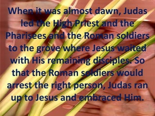 When it was almost dawn, Judas led the High Priest and the Pharisees and the Roman soldiers to the grove where Jesus waited with His remaining disciples. So that the Roman soldiers would arrest the right person, Judas ran up to Jesus and embraced Him.