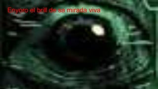 Enyoro el brill de sa mirada viva
 