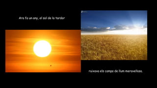 Ara fa un any, el sol de la tardor
ruixava els camps de llum meravellosa.
 