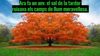 Ara fa un any, el sol de la tardor
ruixava els camps de llum meravellosa.
 