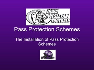 Pass Protection Schemes The Installation of Pass Protection Schemes 