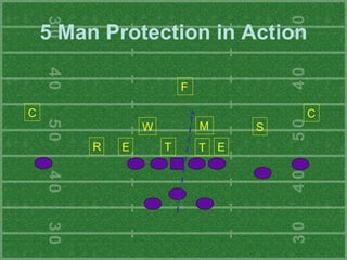 Pass Protection Schemes | PPT