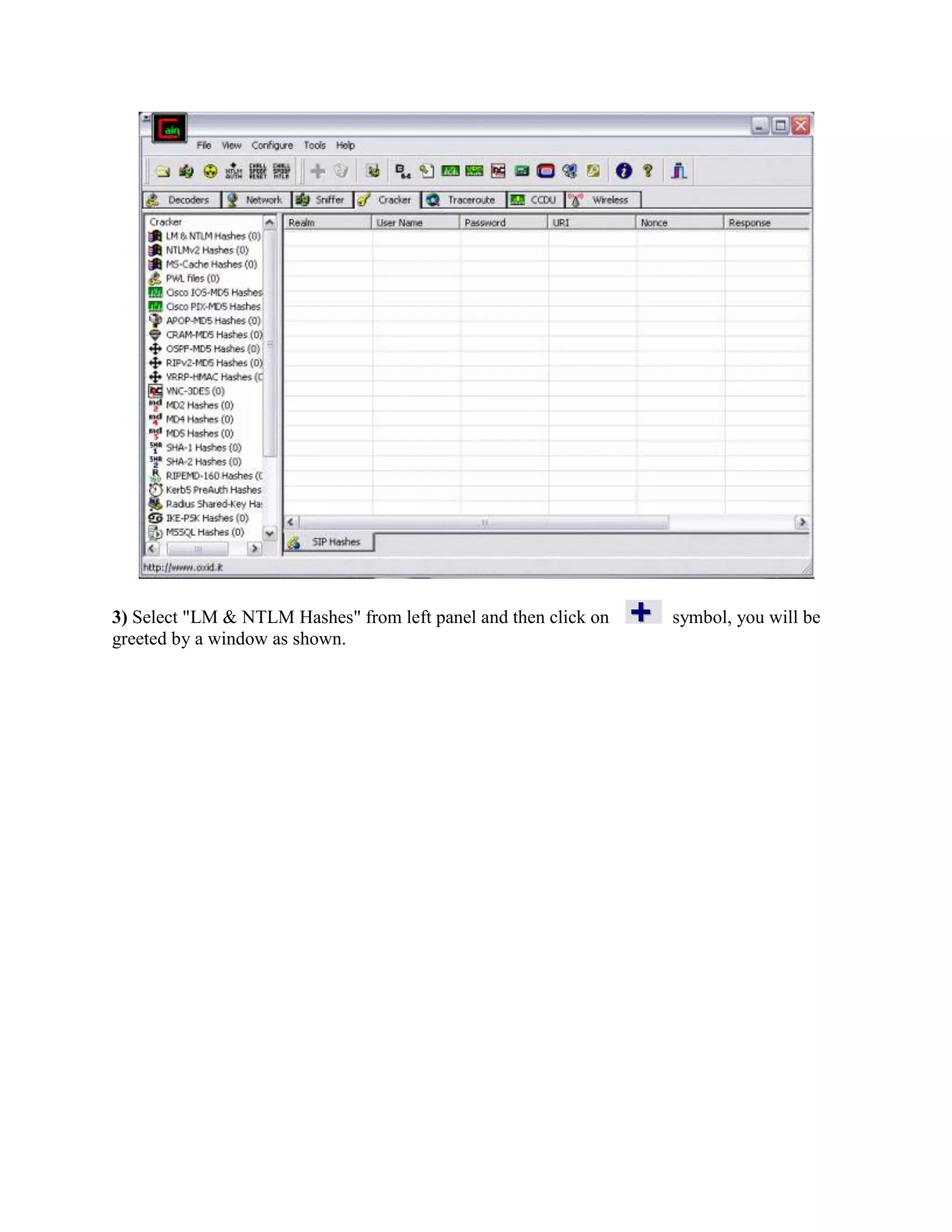 3) Select "LM & NTLM Hashes" from left panel and then click on   symbol, you will be
greeted by a window as shown.
 