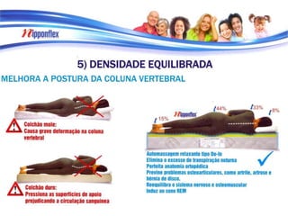 Pasta Apresentação do Produto 2013