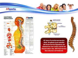 Pasta Apresentação do Produto 2013