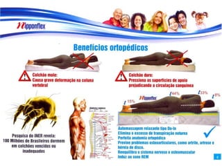 Pasta Apresentação do Produto 2013