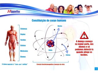 Pasta Apresentação do Produto 2013