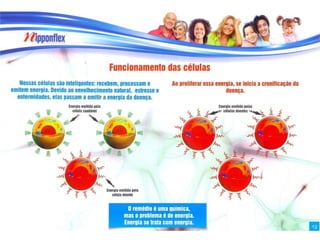 Pasta Apresentação do Produto 2013