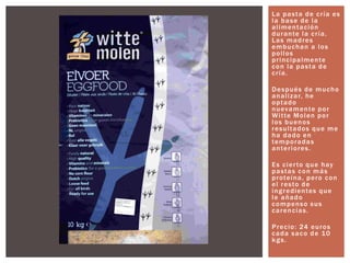La pasta de cría es
la base de la
alimentación
durante la cría.
Las madres
embuchan a los
pollos
principalmente
con la pasta de
cría.
Después de mucho
analizar, he
optado
nuevamente por
Witte Molen por
los buenos
resultados que me
ha dado en
temporadas
anteriores.
Es cierto que hay
pastas con más
proteína, pero con
el resto de
ingredientes que
le añado
compenso sus
carencias.
Precio: 24 euros
cada saco de 10
kgs.
 