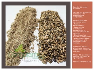 Semilla de cardo
mariano.
Otro de los productos
nuevos que he
añadido esta
temporada.
Propiedades del
cardo mariano:
- Acción
antioxidante.
- Favorece la
circulación
sanguínea y el
funcionamiento del
corazón.
- Disminuye los
niveles de colesterol
- Protege el hígado,
el estómago y la
vesícula de las
toxinas.
Fuente de ácidos
grasos que son una
importante fuente de
energía.
Añado 40 gramos de
semilla triturada al
kg de pasta.
Precio: 4 euros el kg
 