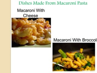 Dishes Made From Macaroni Pasta
Macaroni With
Cheese
Macaroni With Broccoli
 