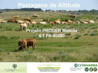Pastagens de Altitude

Projeto PRODER Medida
4.1 PA 40490

 
