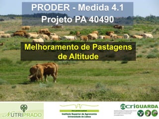 PRODER - Medida 4.1
Projeto PA 40490
Melhoramento de Pastagens
de Altitude

 