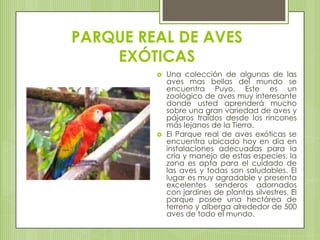 PARQUE REAL DE AVES EXÓTICASUna colección de algunas de las aves mas bellas del mundo se encuentra Puyo. Este es un zoológico de aves muy interesante donde usted aprenderá mucho sobre una gran variedad de aves y pájaros traídos desde los rincones más lejanos de la Tierra. El Parque real de aves exóticas se encuentra ubicado hoy en día en instalaciones adecuadas para la cría y manejo de estas especies, la zona es apta para el cuidado de las aves y todas son saludables. El lugar es muy agradable y presenta excelentes senderos adornados con jardines de plantas silvestres. El parque posee una hectárea de terreno y alberga alrededor de 500 aves de todo el mundo. 