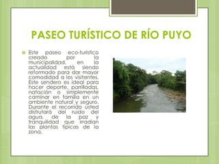 PASEO TURÍSTICO DE RÍO PUYOEste paseo eco-turístico creado por la municipalidad, en la actualidad está siendo reformado para dar mayor comodidad a los visitantes. Este sendero es ideal para hacer deporte, parrilladas, natación o simplemente caminar en familia en un ambiente natural y seguro. Durante el recorrido usted disfrutará del ruido del agua, de la paz y tranquilidad que irradian las plantas típicas de la zona.
