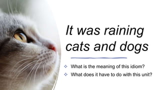 It was raining
cats and dogs
 What is the meaning of this idiom?
 What does it have to do with this unit?
 