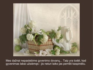 Mes dažnai nepastebime gyvenimo dovanų... Taip yra todėl, kad
gyvenimas labai užsiėmęs - jis neturi laiko jas perrišti kaspinėliu.
 