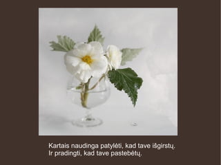 Kartais naudinga patylėti, kad tave išgirstų.
Ir pradingti, kad tave pastebėtų.
 