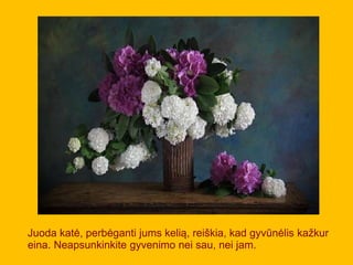 Juoda katė, perbėganti jums kelią, reiškia, kad gyvūnėlis kažkur
eina. Neapsunkinkite gyvenimo nei sau, nei jam.
 