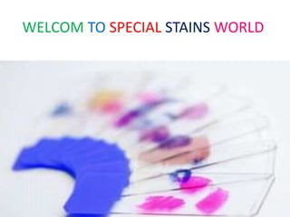 WELCOM TO SPECIAL STAINS WORLD
 