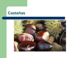 Castañas
 