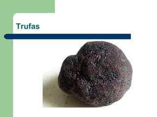 Trufas
 