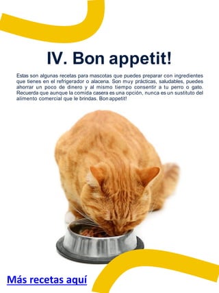 IV. Bon appetit!
Estas son algunas recetas para mascotas que puedes preparar con ingredientes
que tienes en el refrigerado...