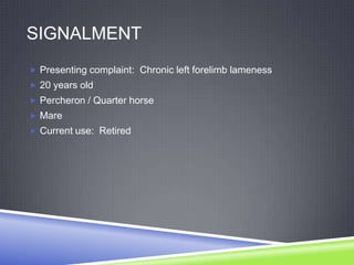 SIGNALMENT
 Presenting complaint: Chronic left forelimb lameness
 20 years old
 Percheron / Quarter horse
 Mare
 Current use: Retired
 