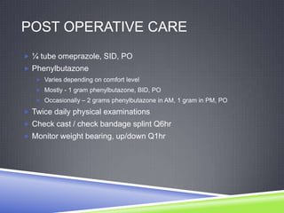 POST OPERATIVE CARE
 ¼ tube omeprazole, SID, PO
 Phenylbutazone
    Varies depending on comfort level
    Mostly - 1 gram phenylbutazone, BID, PO
    Occasionally – 2 grams phenylbutazone in AM, 1 gram in PM, PO

 Twice daily physical examinations
 Check cast / check bandage splint Q6hr
 Monitor weight bearing, up/down Q1hr
 