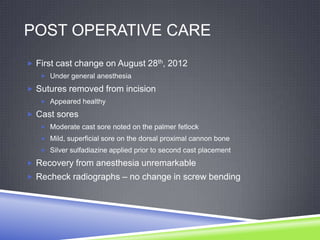 POST OPERATIVE CARE
 First cast change on August 28th, 2012
    Under general anesthesia

 Sutures removed from incision
    Appeared healthy

 Cast sores
    Moderate cast sore noted on the palmer fetlock
    Mild, superficial sore on the dorsal proximal cannon bone
    Silver sulfadiazine applied prior to second cast placement

 Recovery from anesthesia unremarkable
 Recheck radiographs – no change in screw bending
 
