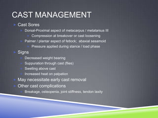 CAST MANAGEMENT
 Cast Sores
    Dorsal-Proximal aspect of metacarpus / metatarsus III
        Compression at breakover or cast loosening
    Palmer / plantar aspect of fetlock; abaxial sesamoid
        Pressure applied during stance / load phase

 Signs
    Decreased weight bearing
    Suppuration through cast (flies)
    Swelling above cast
    Increased heat on palpation

 May necessitate early cast removal
 Other cast complications
    Breakage, osteopenia, joint stiffness, tendon laxity
 