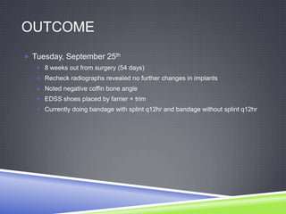 OUTCOME
 Tuesday, September 25th
    8 weeks out from surgery (54 days)
    Recheck radiographs revealed no further changes in implants
    Noted negative coffin bone angle
    EDSS shoes placed by farrier + trim
    Currently doing bandage with splint q12hr and bandage without splint q12hr
 