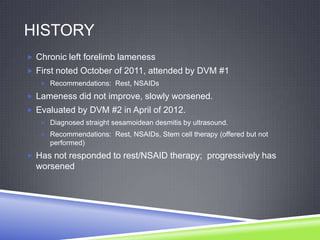 HISTORY
 Chronic left forelimb lameness
 First noted October of 2011, attended by DVM #1
    Recommendations: Rest, NSAIDs

 Lameness did not improve, slowly worsened.
 Evaluated by DVM #2 in April of 2012.
    Diagnosed straight sesamoidean desmitis by ultrasound.
    Recommendations: Rest, NSAIDs, Stem cell therapy (offered but not
     performed)
 Has not responded to rest/NSAID therapy; progressively has
  worsened
 