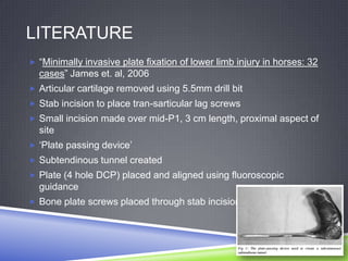 LITERATURE
 “Minimally invasive plate fixation of lower limb injury in horses: 32
  cases” James et. al, 2006
 Articular cartilage removed using 5.5mm drill bit
 Stab incision to place tran-sarticular lag screws
 Small incision made over mid-P1, 3 cm length, proximal aspect of
  site
 „Plate passing device‟
 Subtendinous tunnel created
 Plate (4 hole DCP) placed and aligned using fluoroscopic
  guidance
 Bone plate screws placed through stab incisions
 