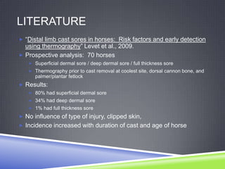 LITERATURE
 “Distal limb cast sores in horses: Risk factors and early detection
  using thermography” Levet et al., 2009.
 Prospective analysis: 70 horses
    Superficial dermal sore / deep dermal sore / full thickness sore
    Thermography prior to cast removal at coolest site, dorsal cannon bone, and
      palmer/plantar fetlock
 Results:
    80% had superficial dermal sore
    34% had deep dermal sore
    1% had full thickness sore

 No influence of type of injury, clipped skin,
 Incidence increased with duration of cast and age of horse
 